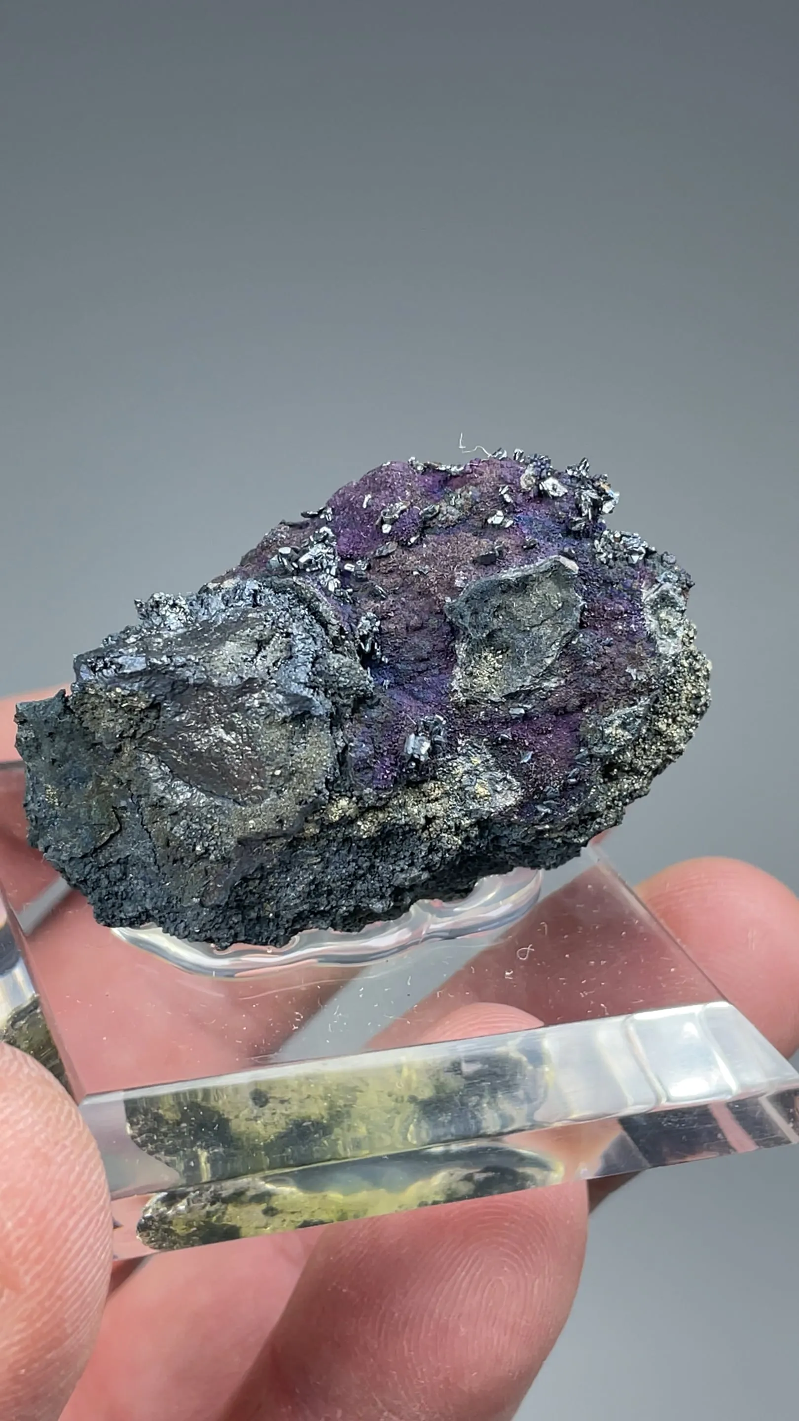 Chalcocite with Pyrite - image 2