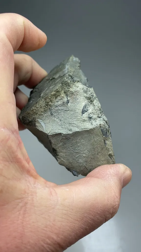 Chalcocite with Pyrite - image 2