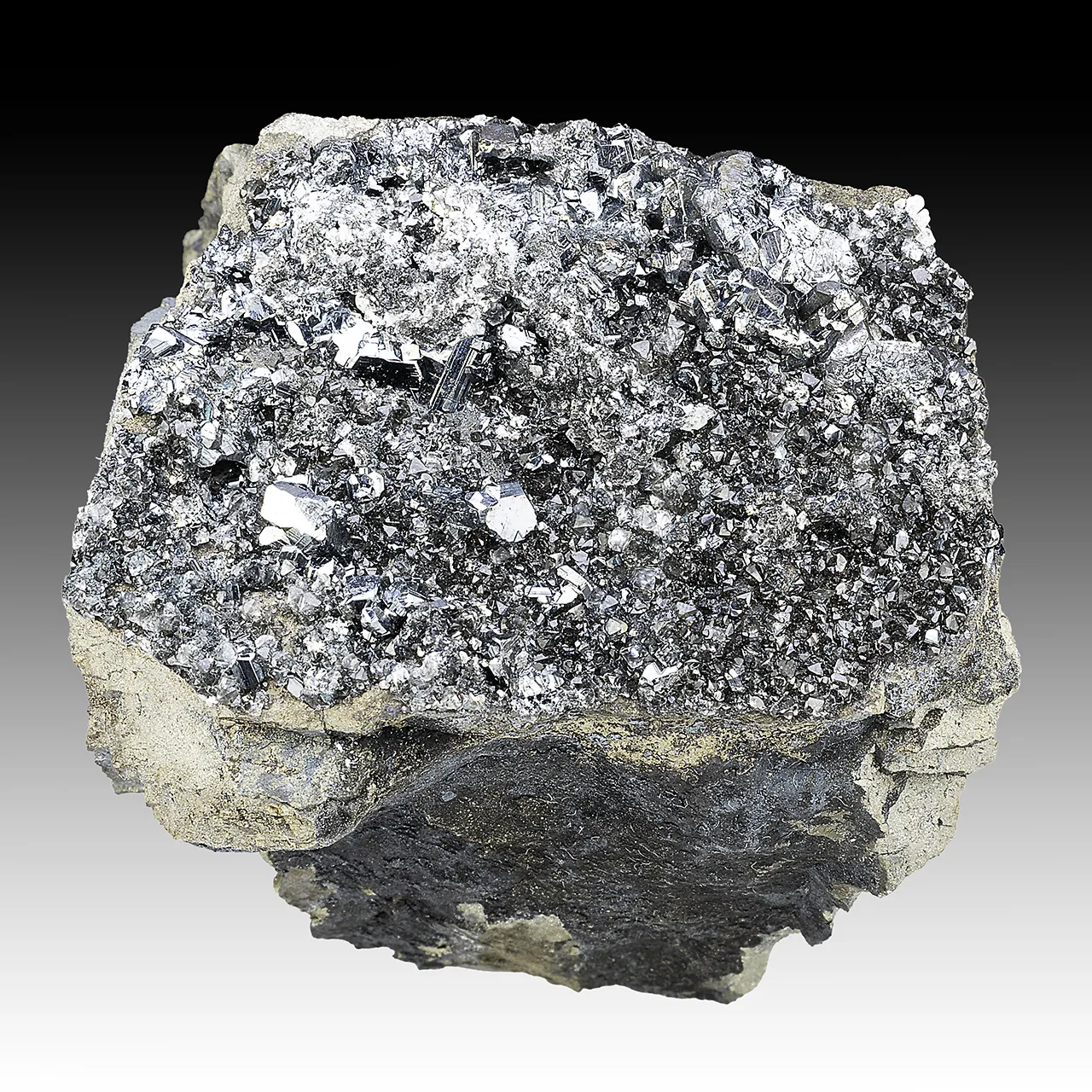 Chalcocite with Pyrite - image 1