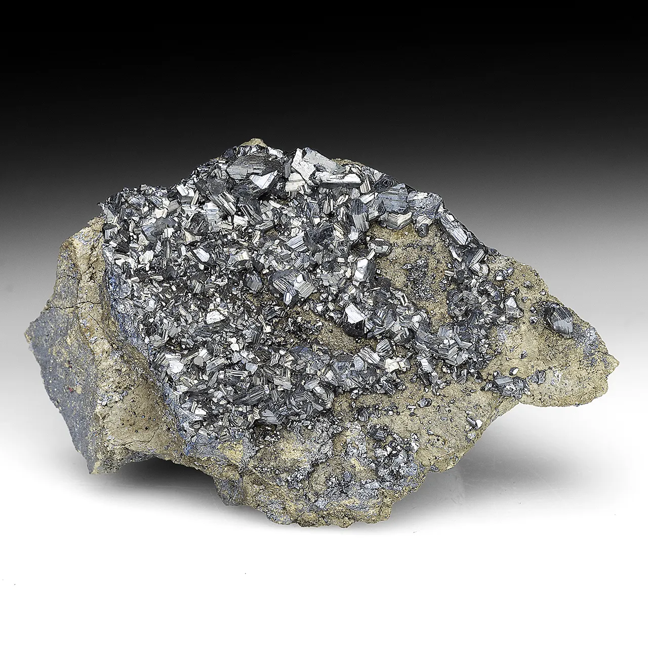 Chalcocite with Pyrite - image 1