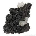 Chalcocite with Quartz - image 4