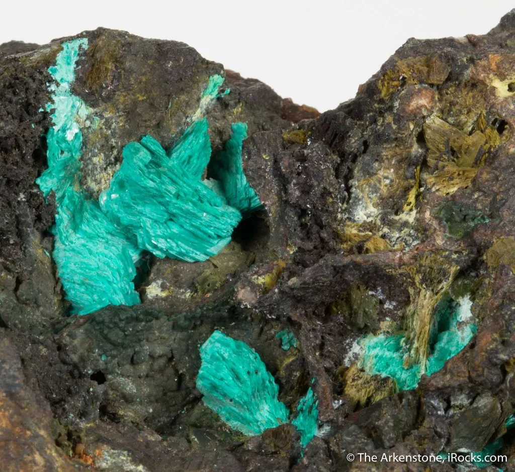 Chalcophyllite image