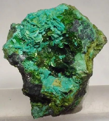 Chalcophyllite image
