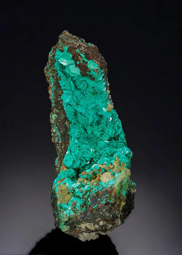 Chalcophyllite image
