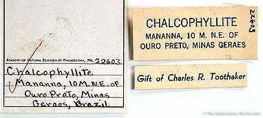 Chalcophyllite - image 2