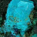 Chalcophyllite - image 1