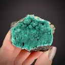 Chalcophyllite (Illustrated) - image 2