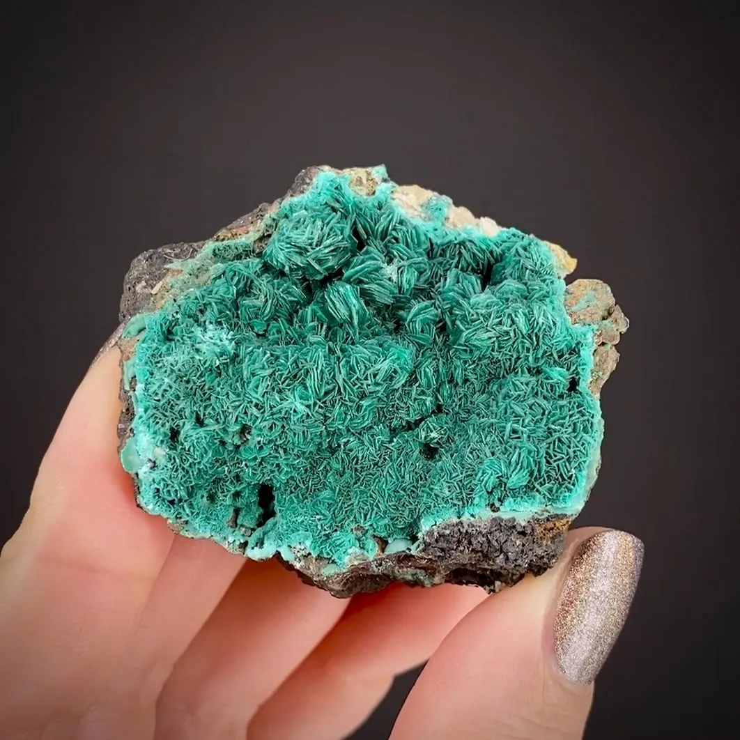 Chalcophyllite (Illustrated) - image 2