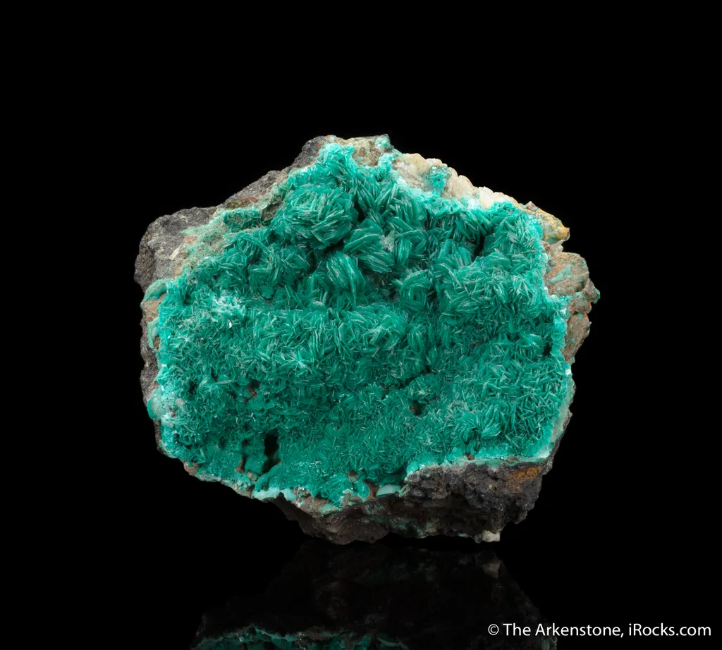 Chalcophyllite (Illustrated) image