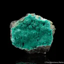 Chalcophyllite (Illustrated) - image 1