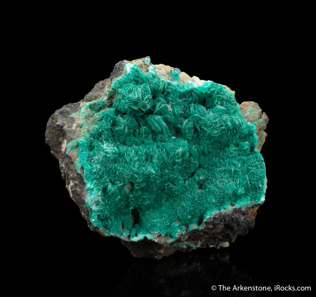 Chalcophyllite (Illustrated) - image 5