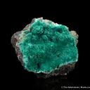 Chalcophyllite (Illustrated) - image 5