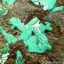 Chalcophyllite (Large Piece!) - image 2