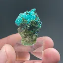 Chalcophyllite with Azurite - image 2