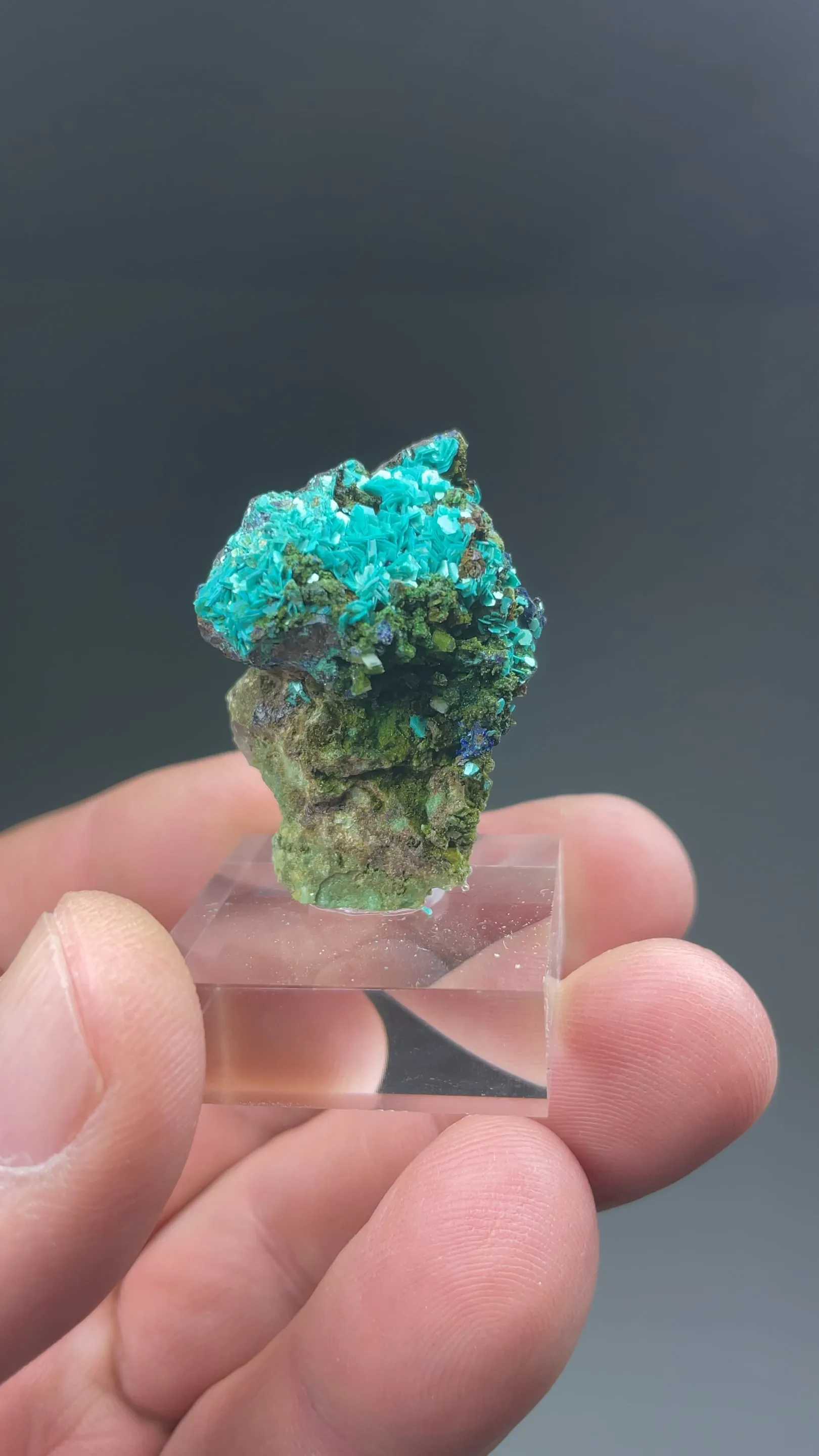 Chalcophyllite with Azurite - image 2