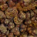 Chalcopyrite - image 4