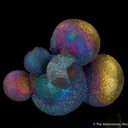 Chalcopyrite - image 3