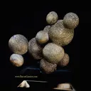 Chalcopyrite - image 2