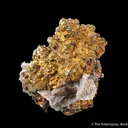 Chalcopyrite and Quartz - image 1