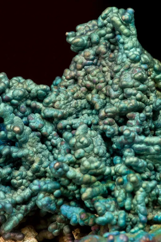 Chalcopyrite-Coated Chalcocite With Djurleite - image 4