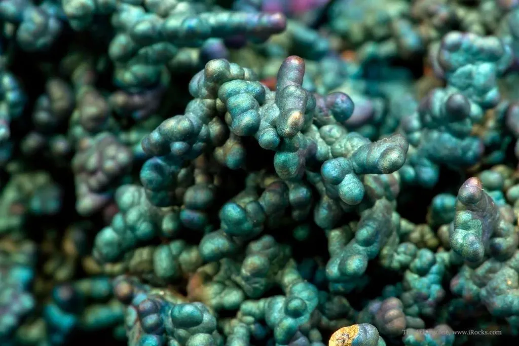 Chalcopyrite-Coated Chalcocite With Djurleite - image 9