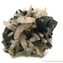 Chalcopyrite Coated With Tetrahedrite on Quartz - image 2