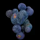 Chalcopyrite - image 3