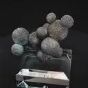 specimen video