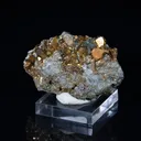Chalcopyrite from Italy, Livorno Province, Elba Island - image 3