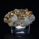 Chalcopyrite from Italy, Livorno Province, Elba Island - image 1