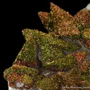 Chalcopyrite on Calcite - image 4