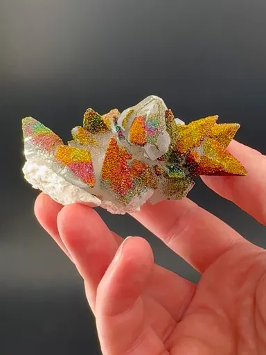 specimen video
