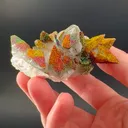 specimen video