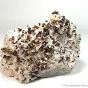 Chalcopyrite on Dolomite - image 1