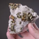 Chalcopyrite on Quartz - image 2