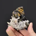 Chalcopyrite on Quartz - image 2
