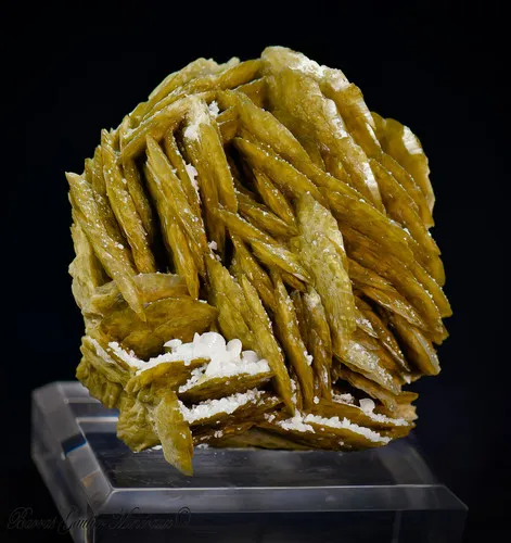 Chalcopyrite on Siderit image