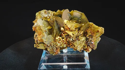 specimen video