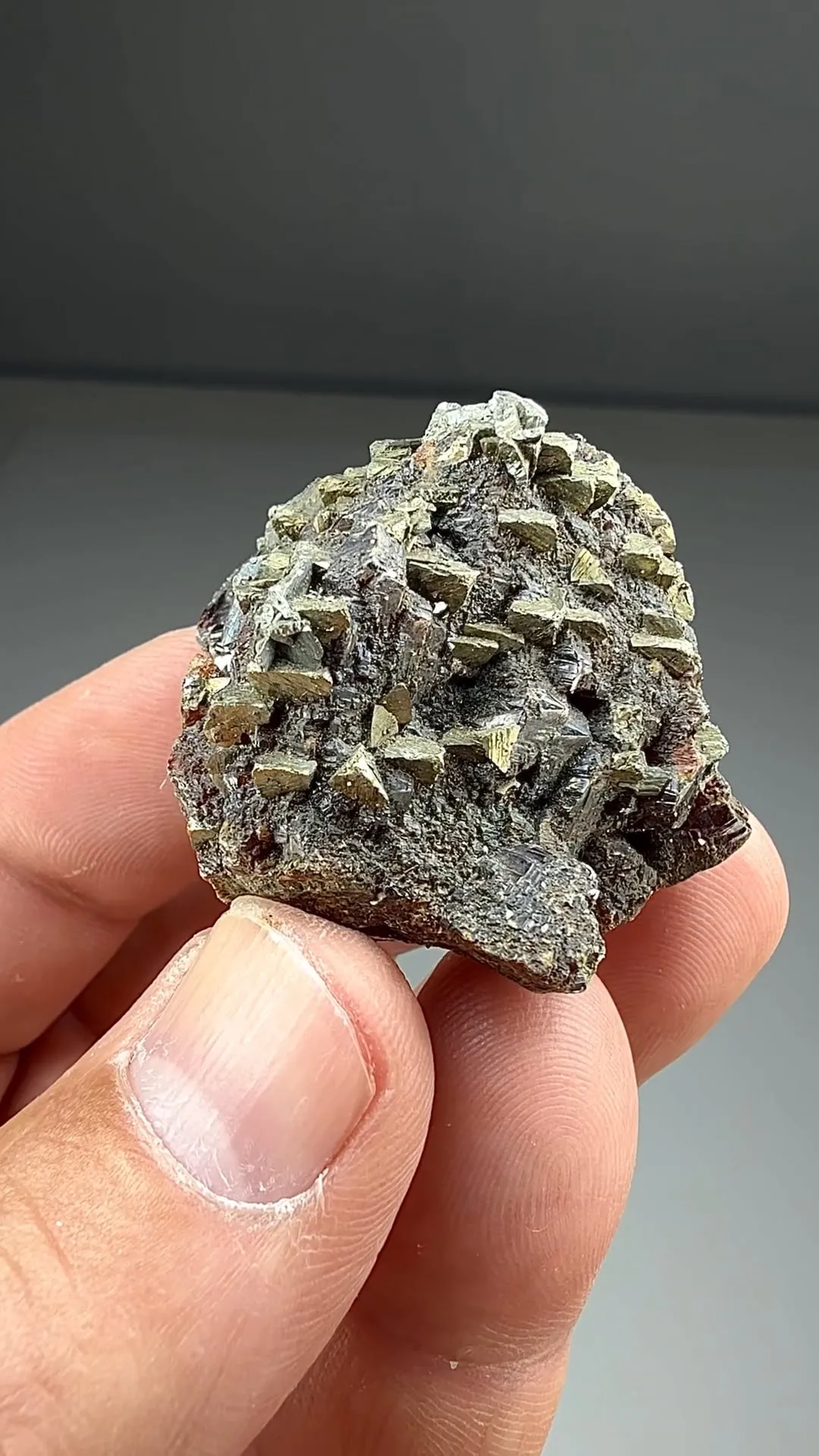 Chalcopyrite on Sphalerite (1456) - image 2