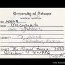 Chalcopyrite on Sphalerite - image 7