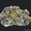 Chalcopyrite on Tetrahedrite, Galena, on Quartz ps. Barite (mid-1800s) - image 2