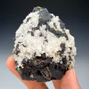 Chalcopyrite Ps. Enargite - image 1