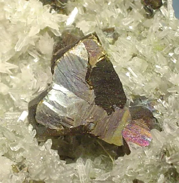 Chalcopyrite, Quartz - image 2