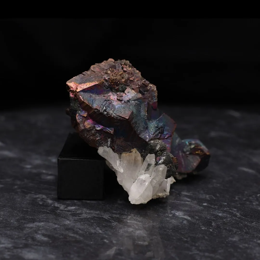 Chalcopyrite, Quartz - image 2