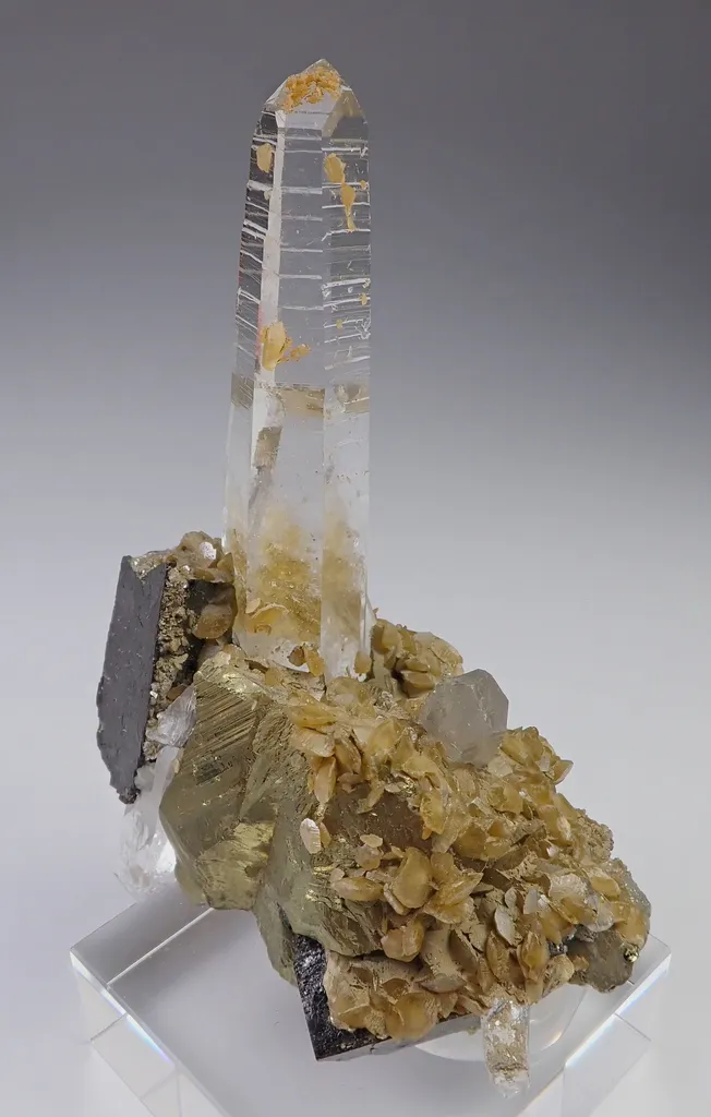 Chalcopyrite, Quartz, Ferberite and Siderite image