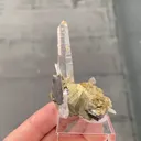 Chalcopyrite, Quartz, Ferberite and Siderite - image 5