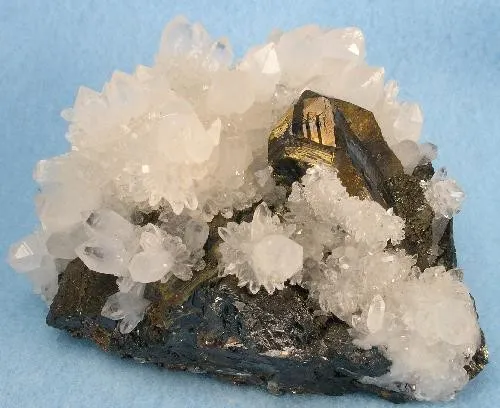 Chalcopyrite, Quartz, Sphalerite, Pyrite image