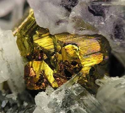 Chalcopyrite, Rhodochrosite, Pyrite, Sphalerite, Quartz, Kutnohorite, Dickite image