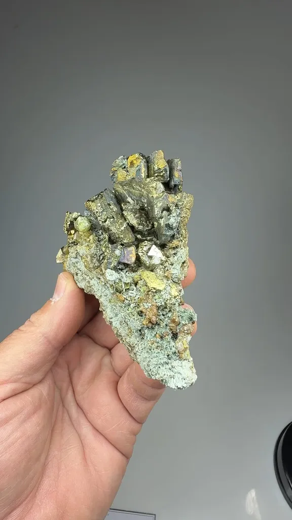 Chalcopyrite with Andradite, Pyrite - image 2