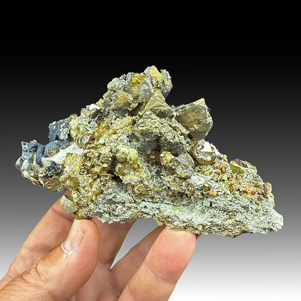 Chalcopyrite with Andradite, Pyrite image